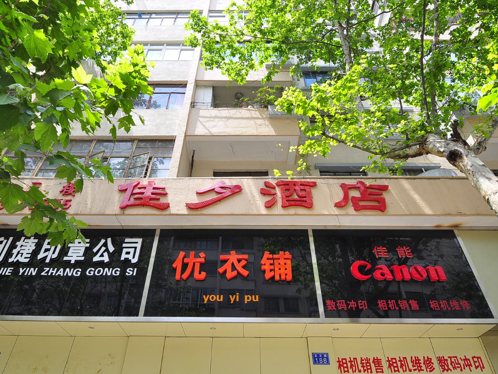 外观