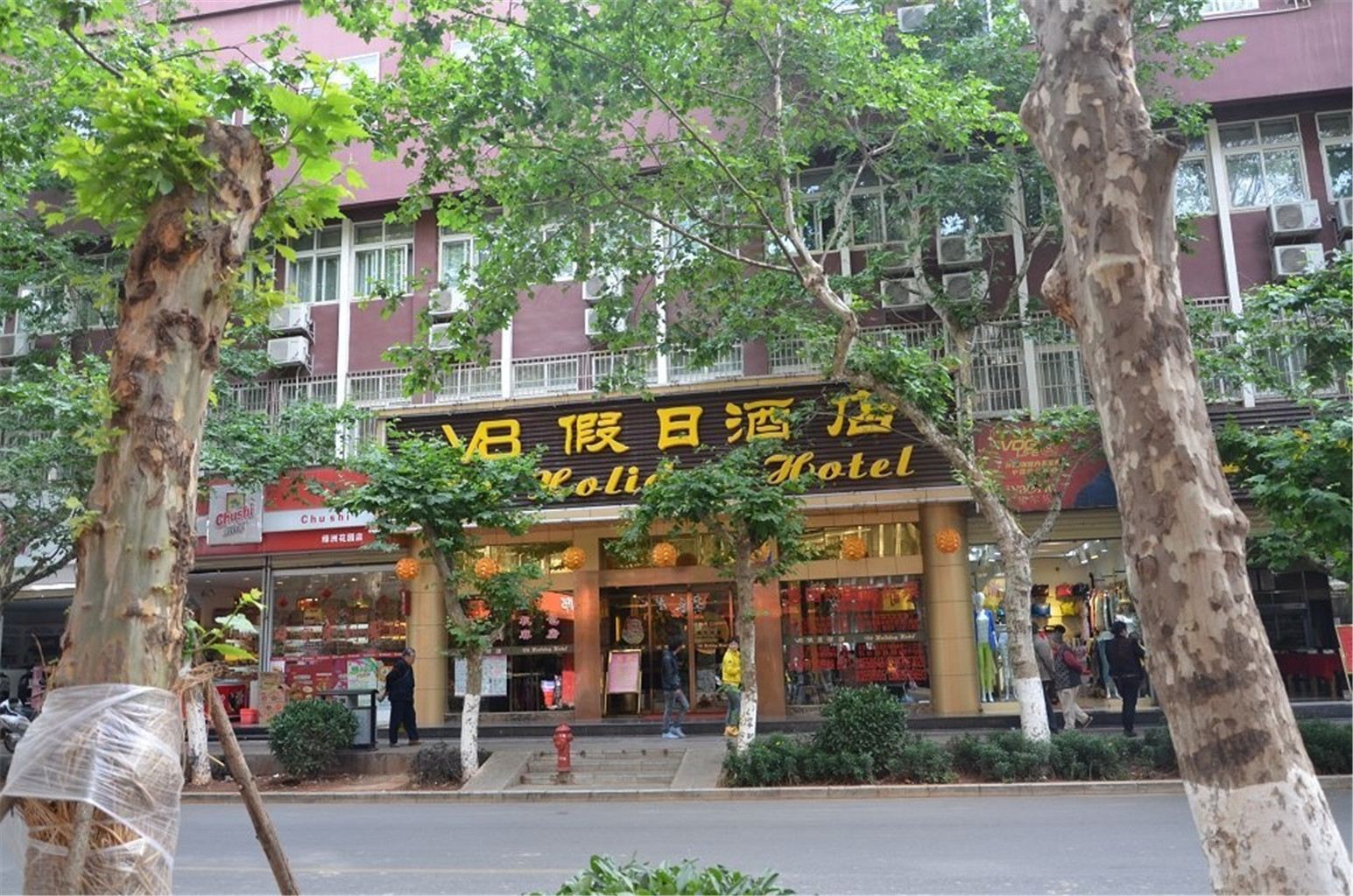 外观