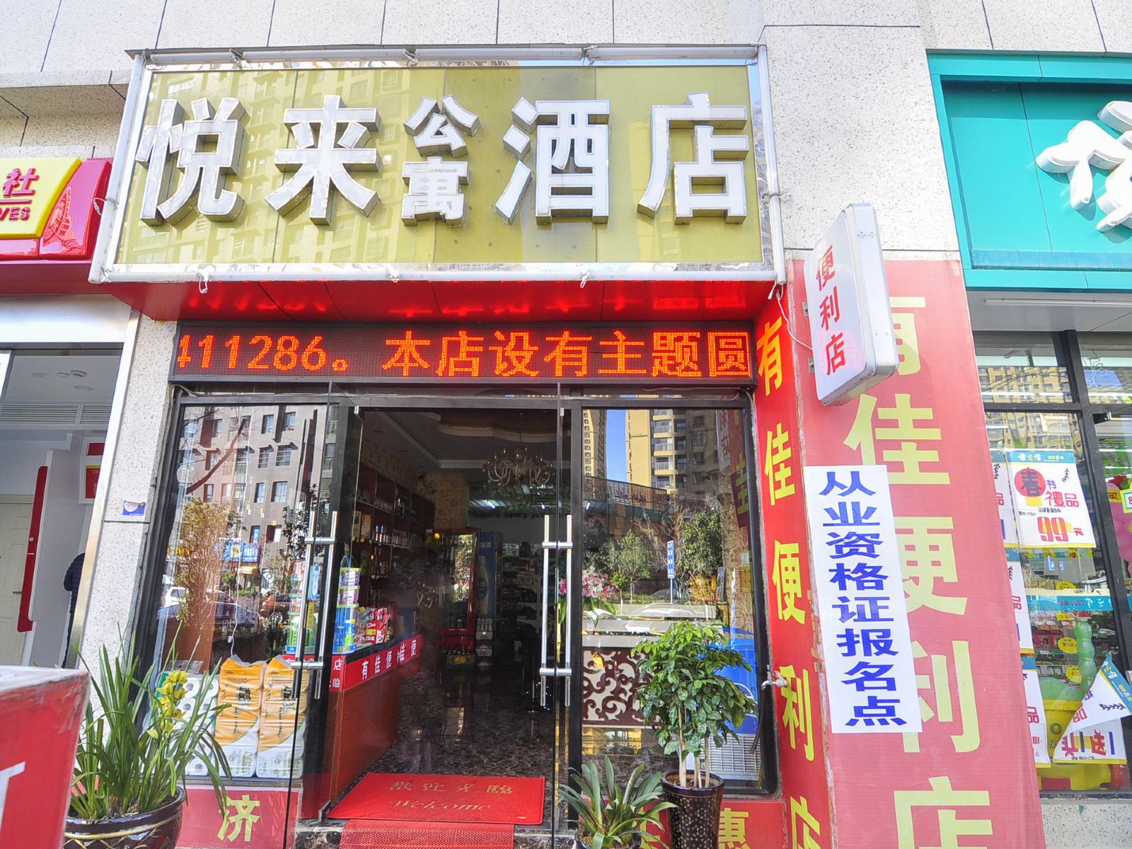 外观