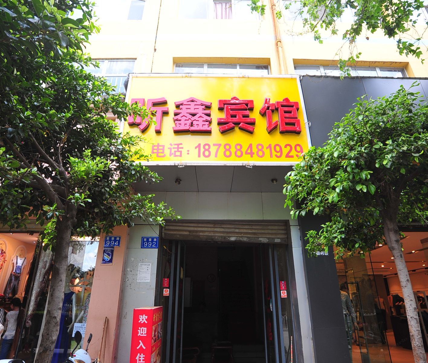 外观