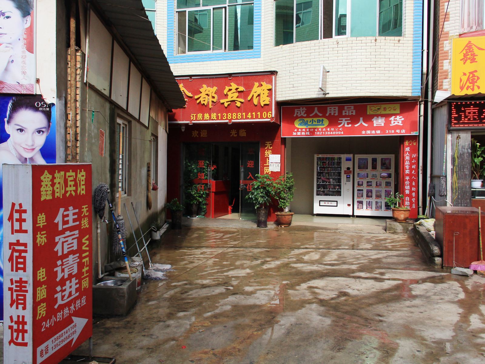外观