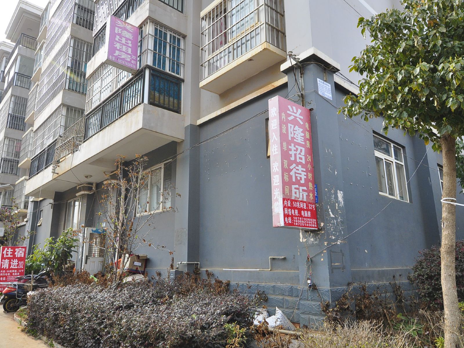 外观