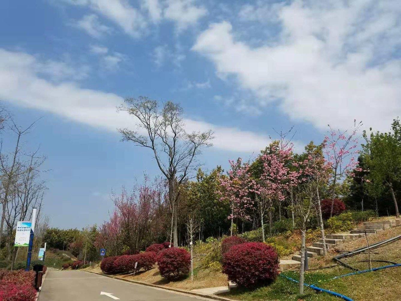昆明春漫小家公寓