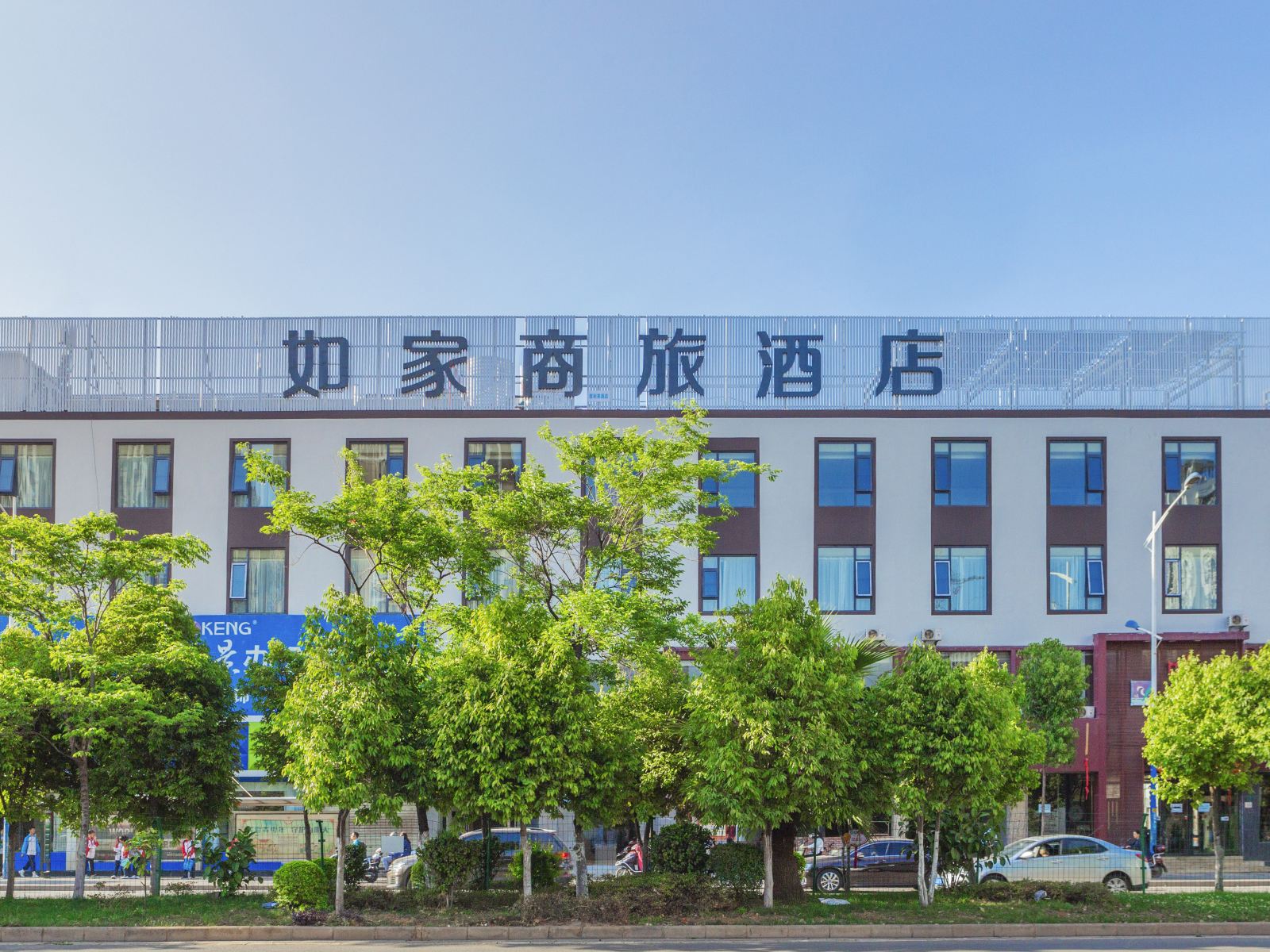 外观