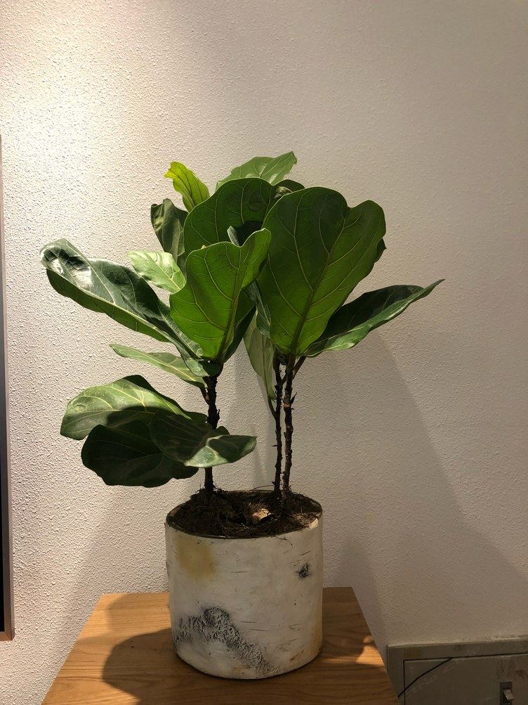 昆明弄影暖心小居公寓