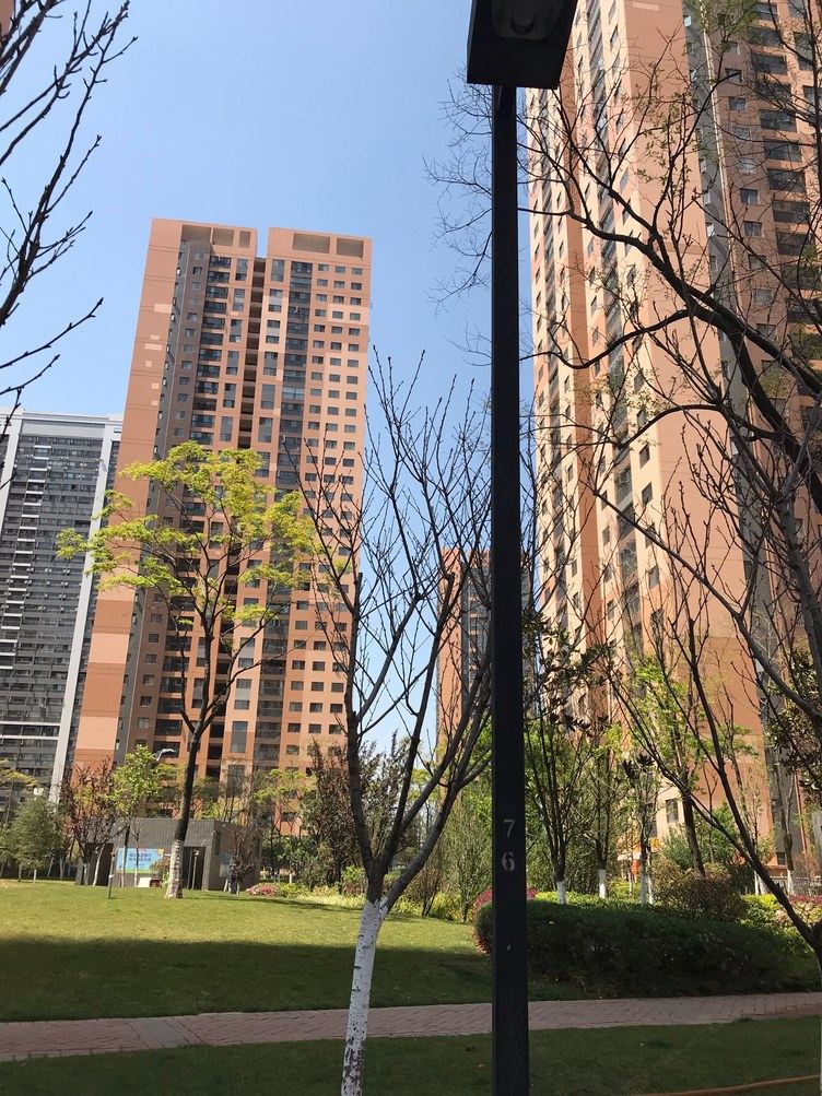 昆明秋秋1989023公寓