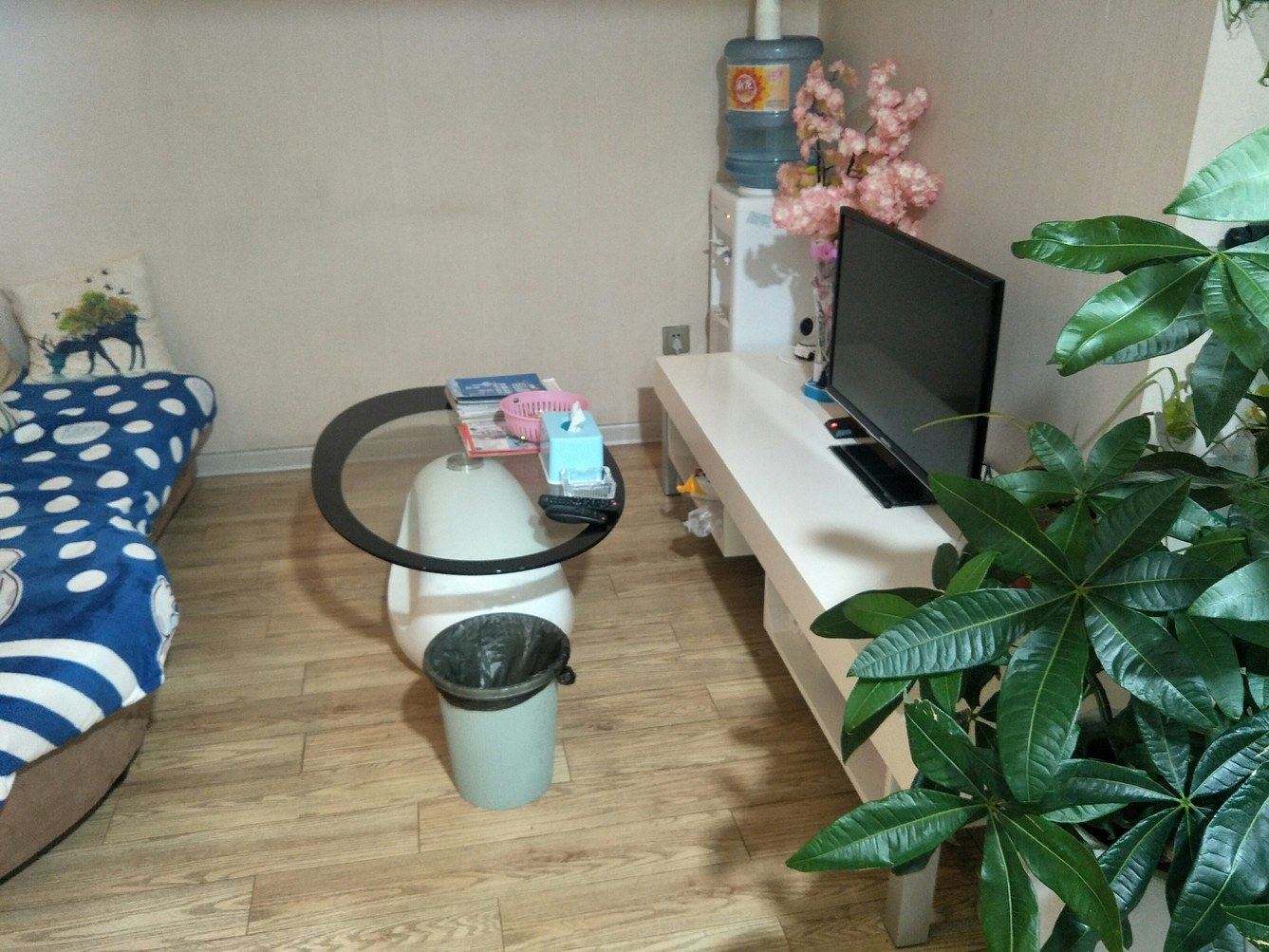 其他