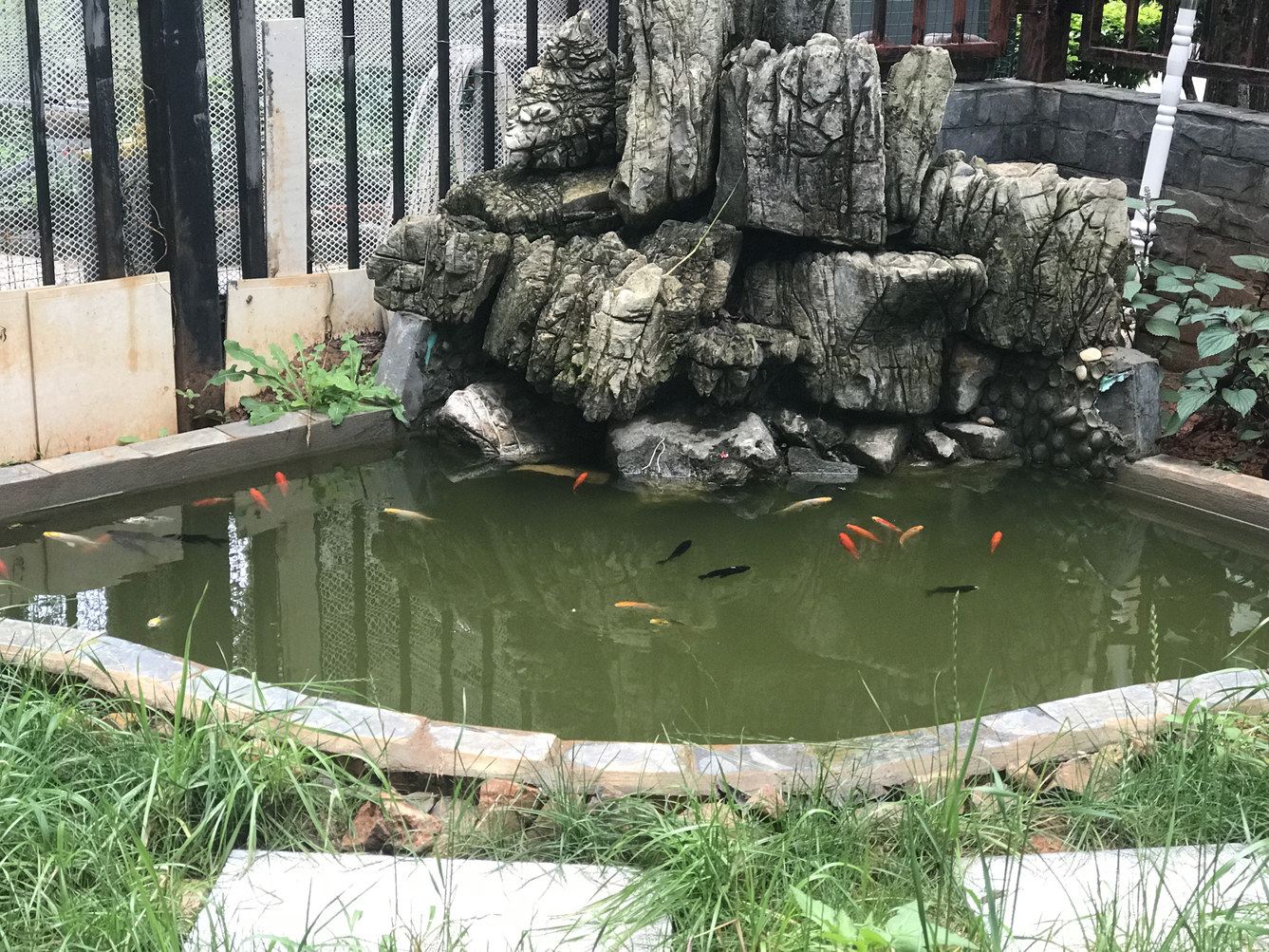 其他
