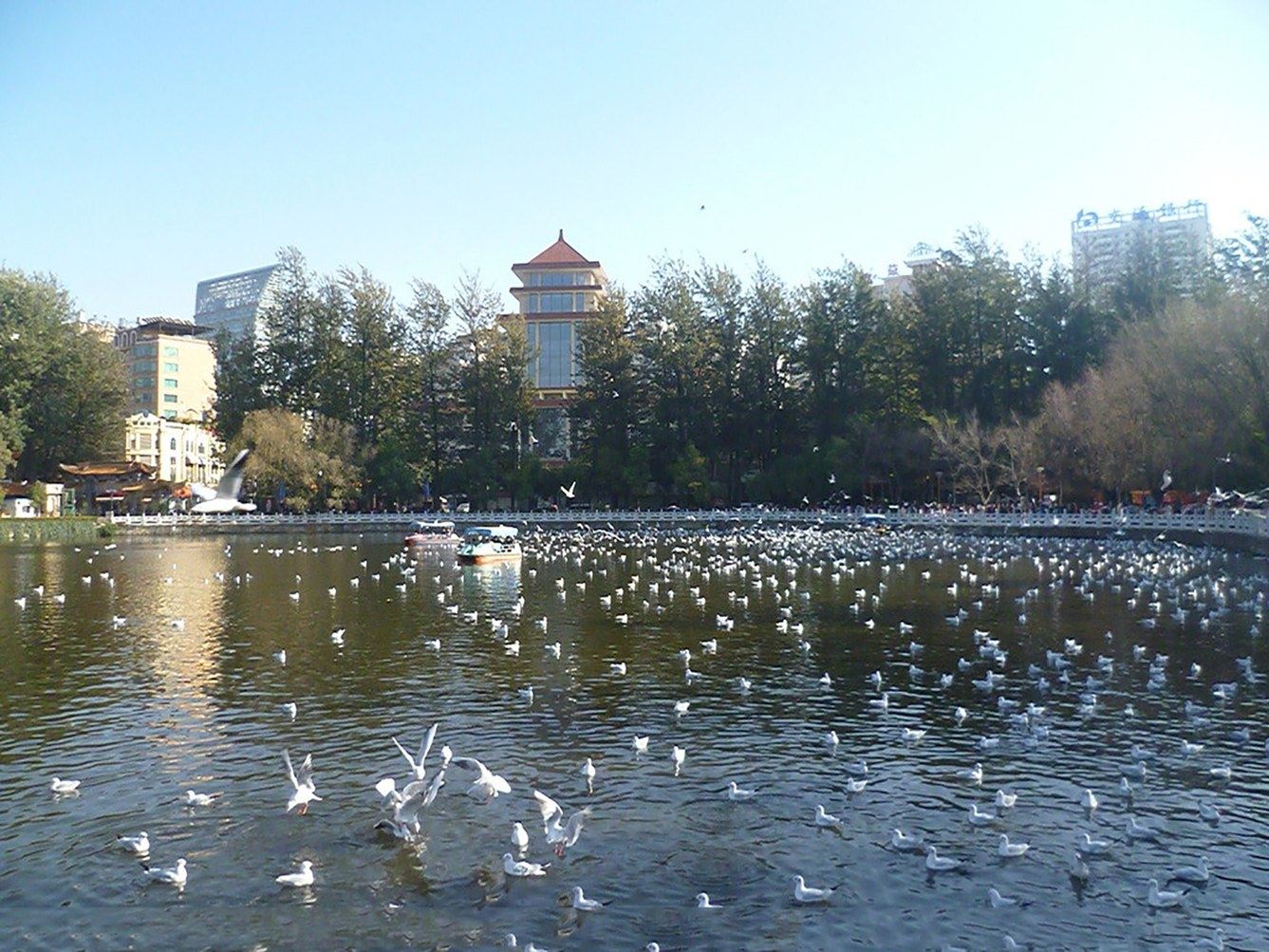 其他