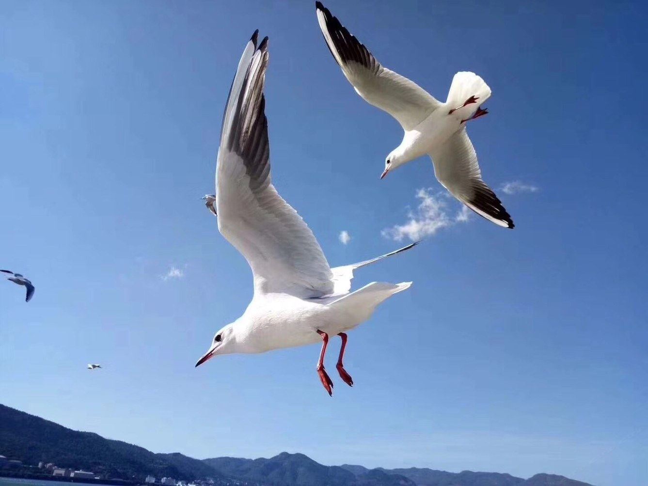 其他