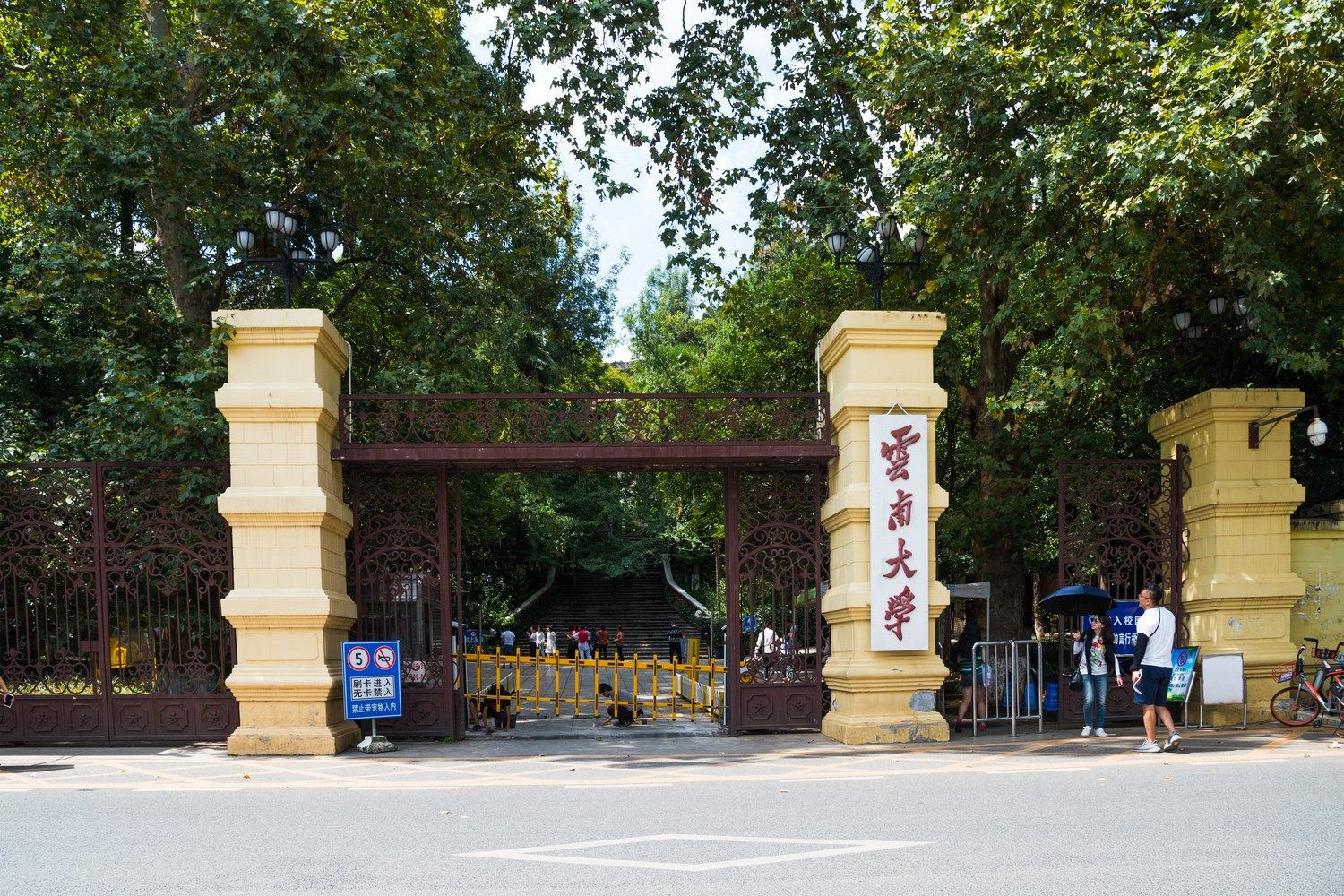 其他