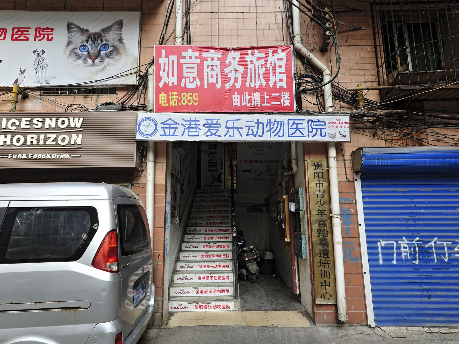外观