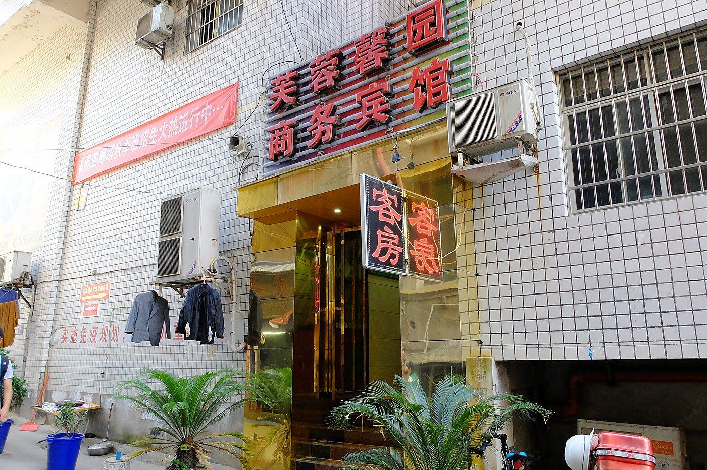 外观
