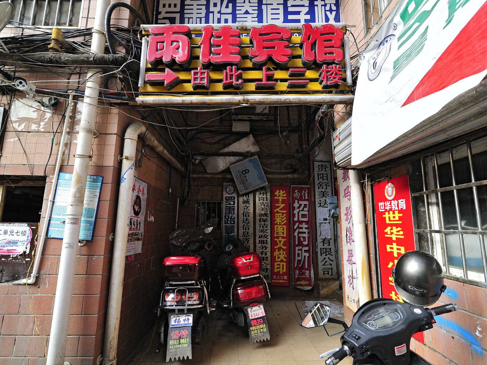 外观