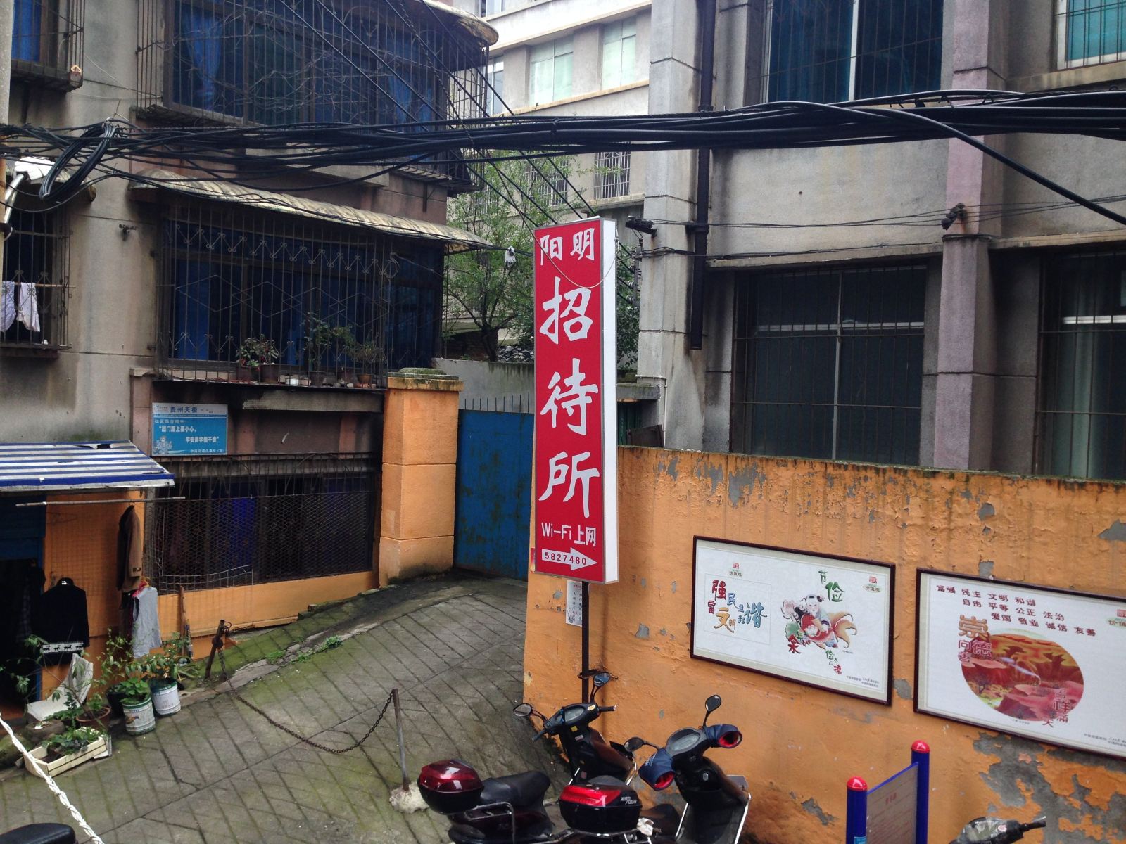 外观