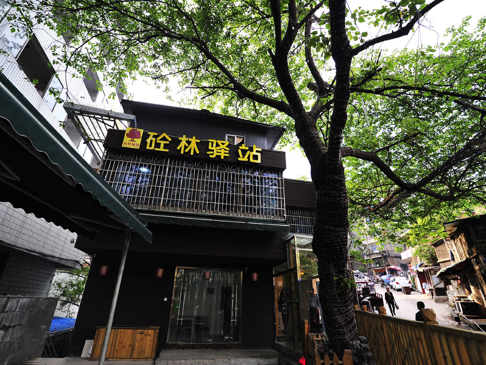 外观