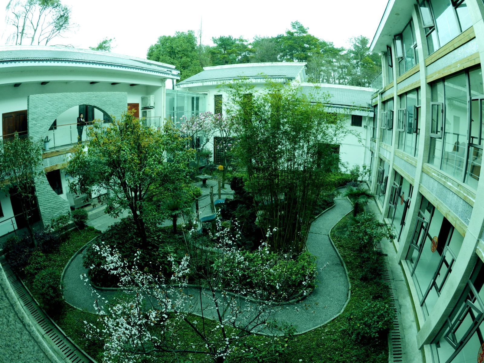 公共区域