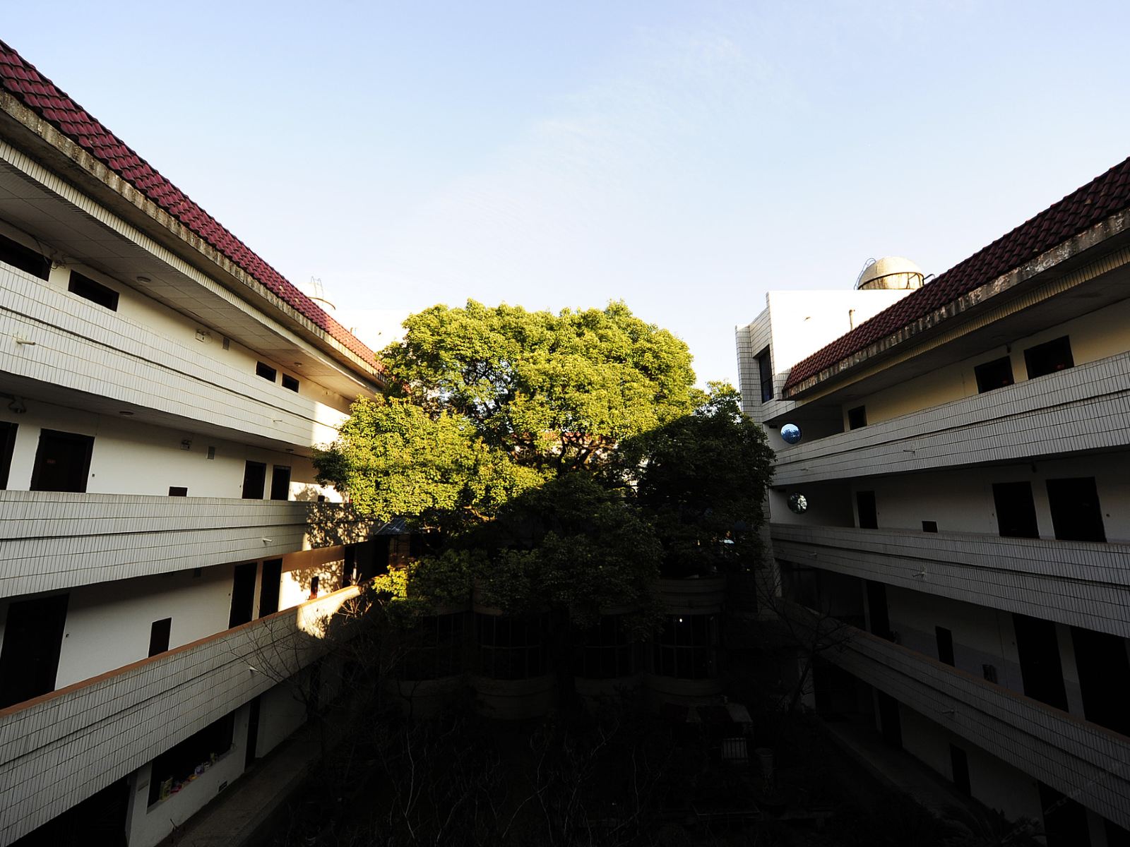 公共区域