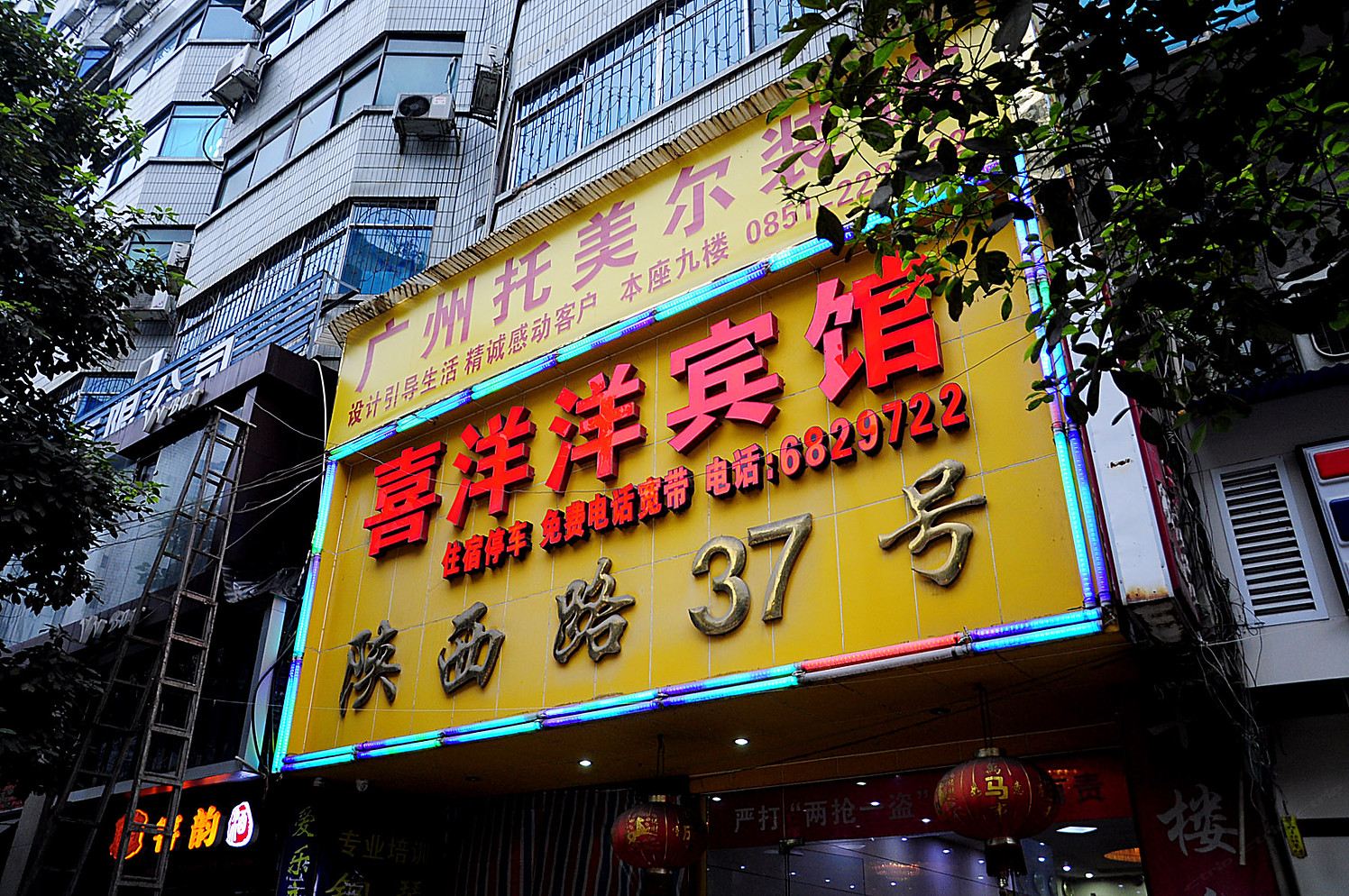 外观