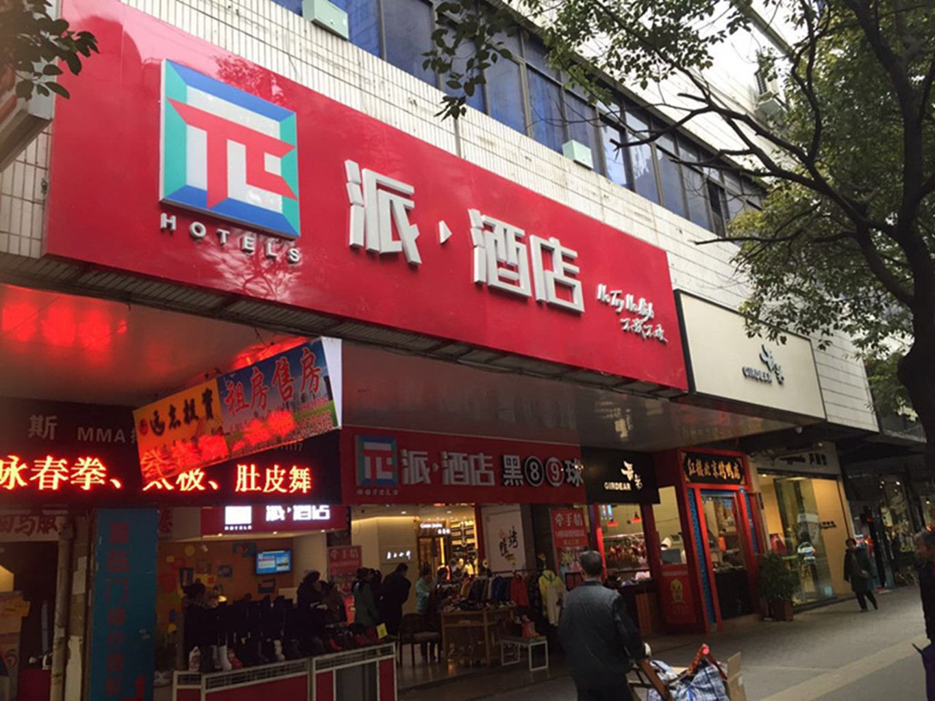 外观