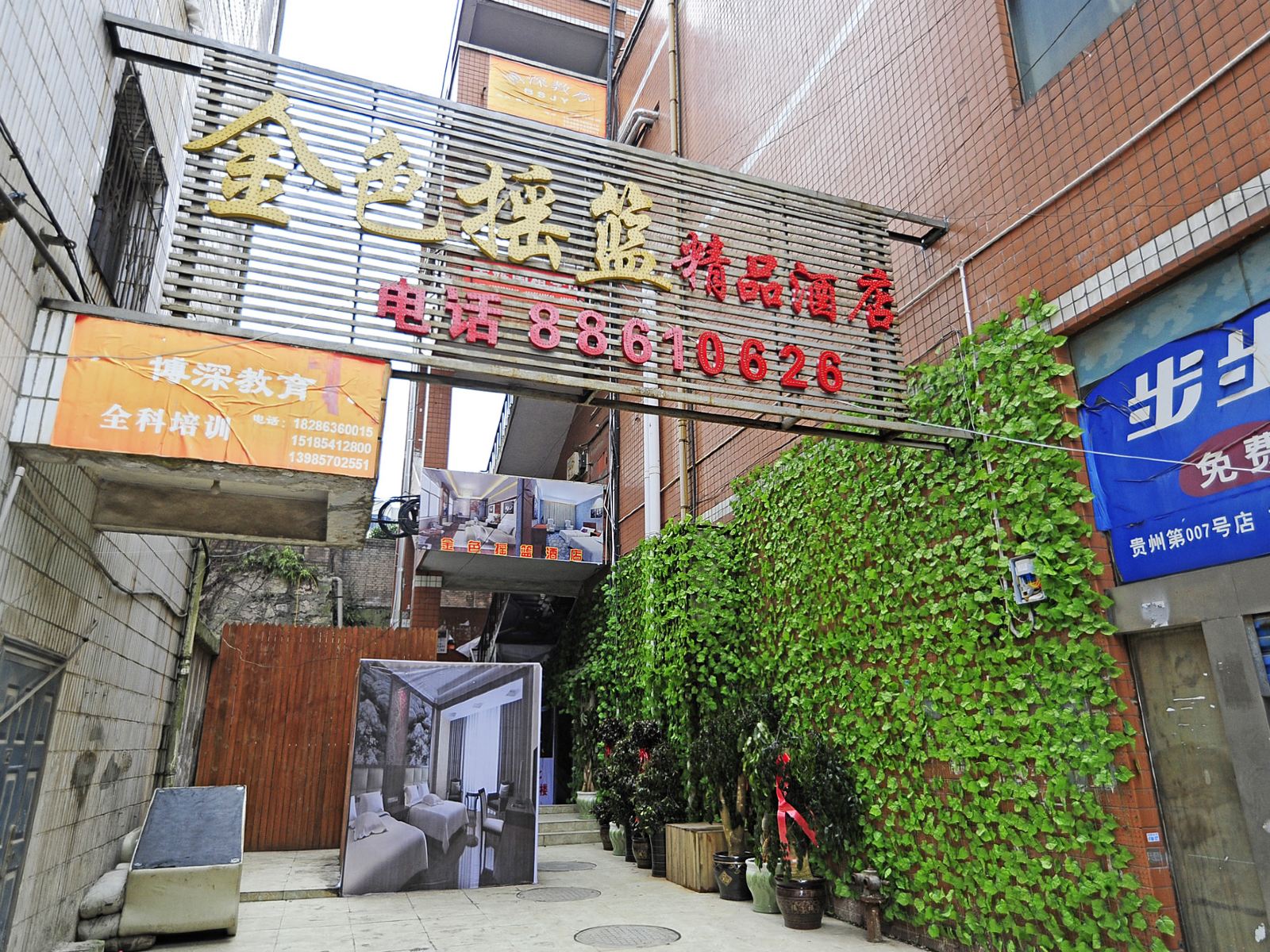 外观