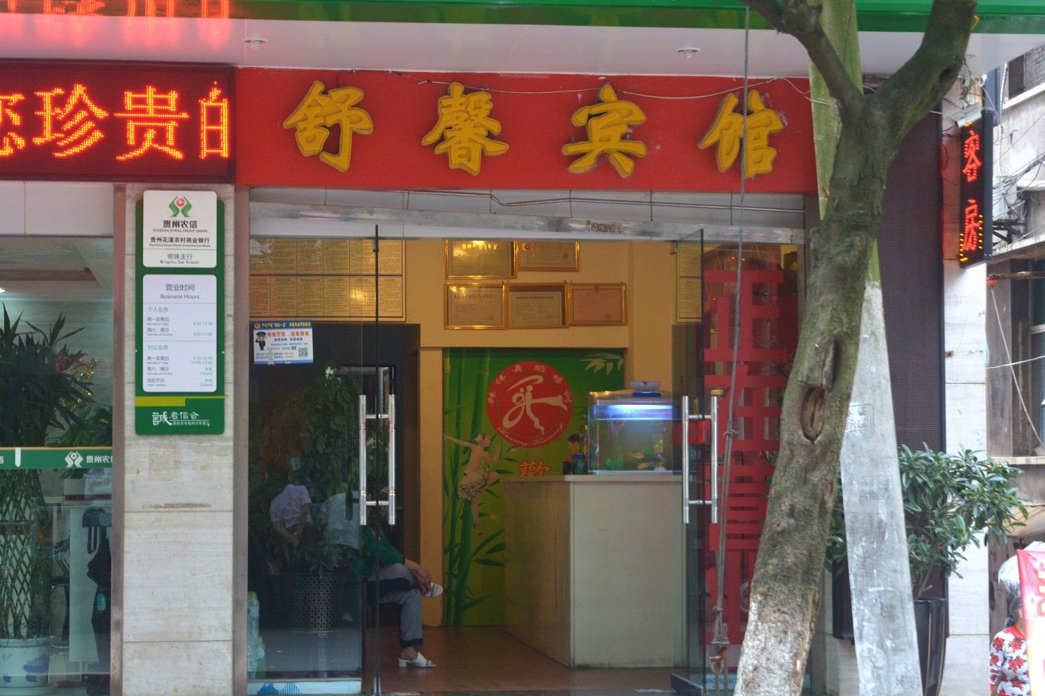 外观