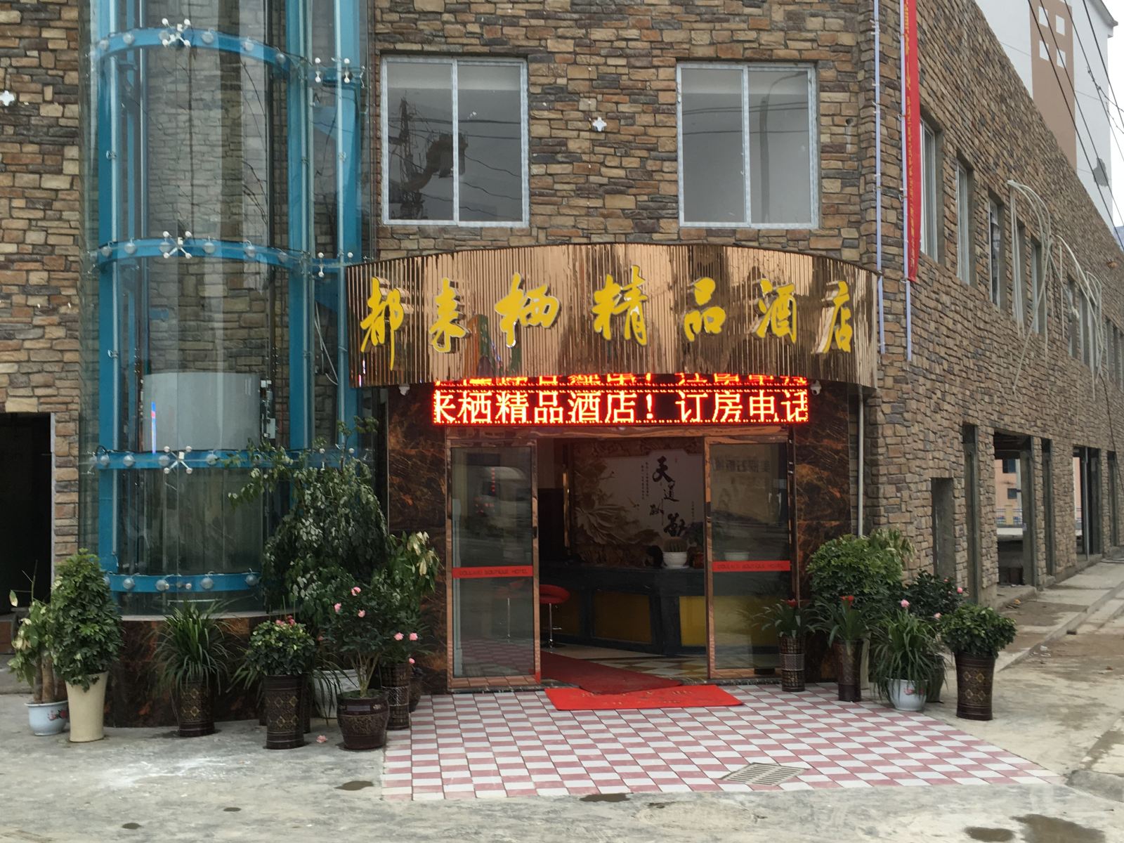 外观