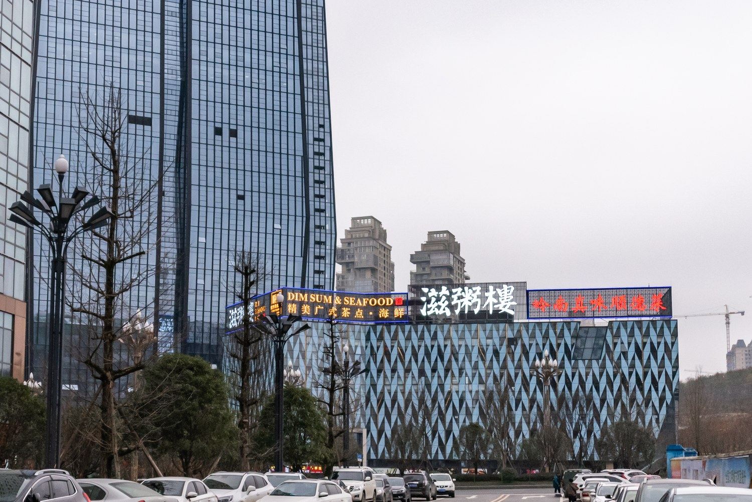其他