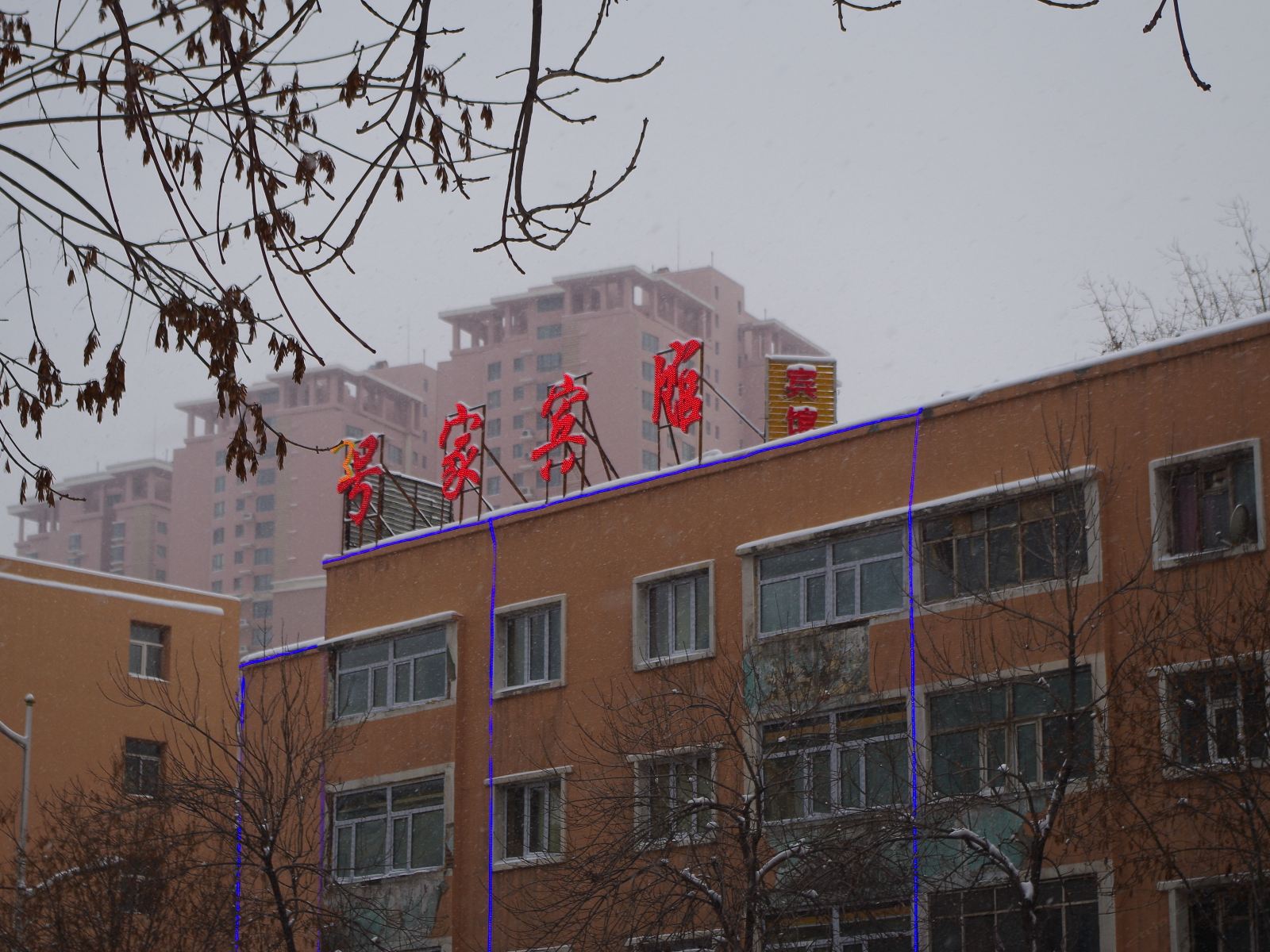 外观
