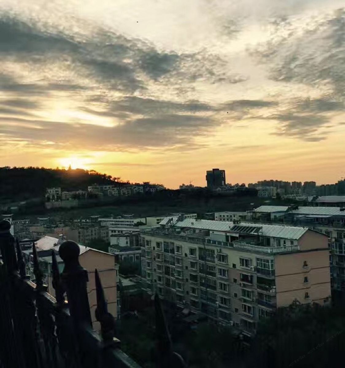 其他