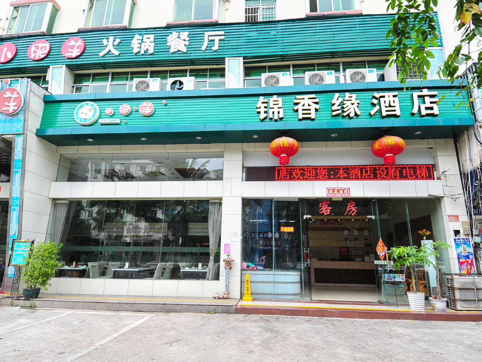 外观