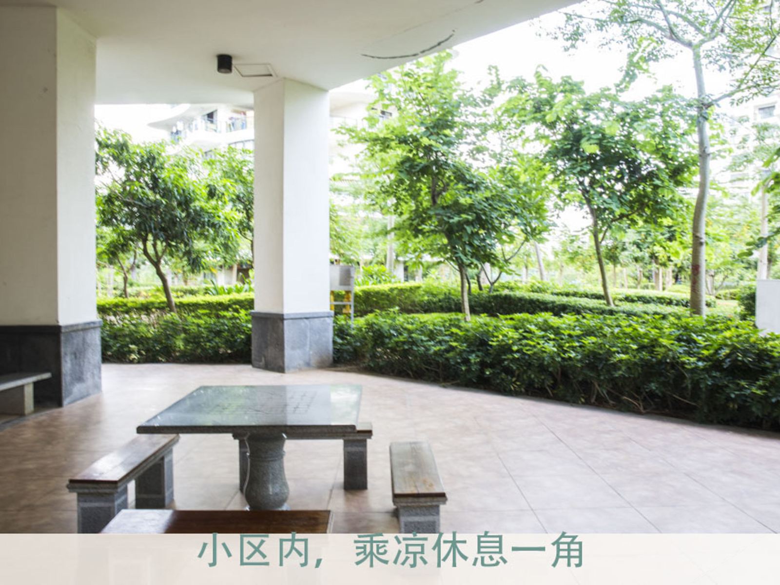 公共区域
