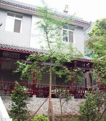 青城山沙坪董家大院