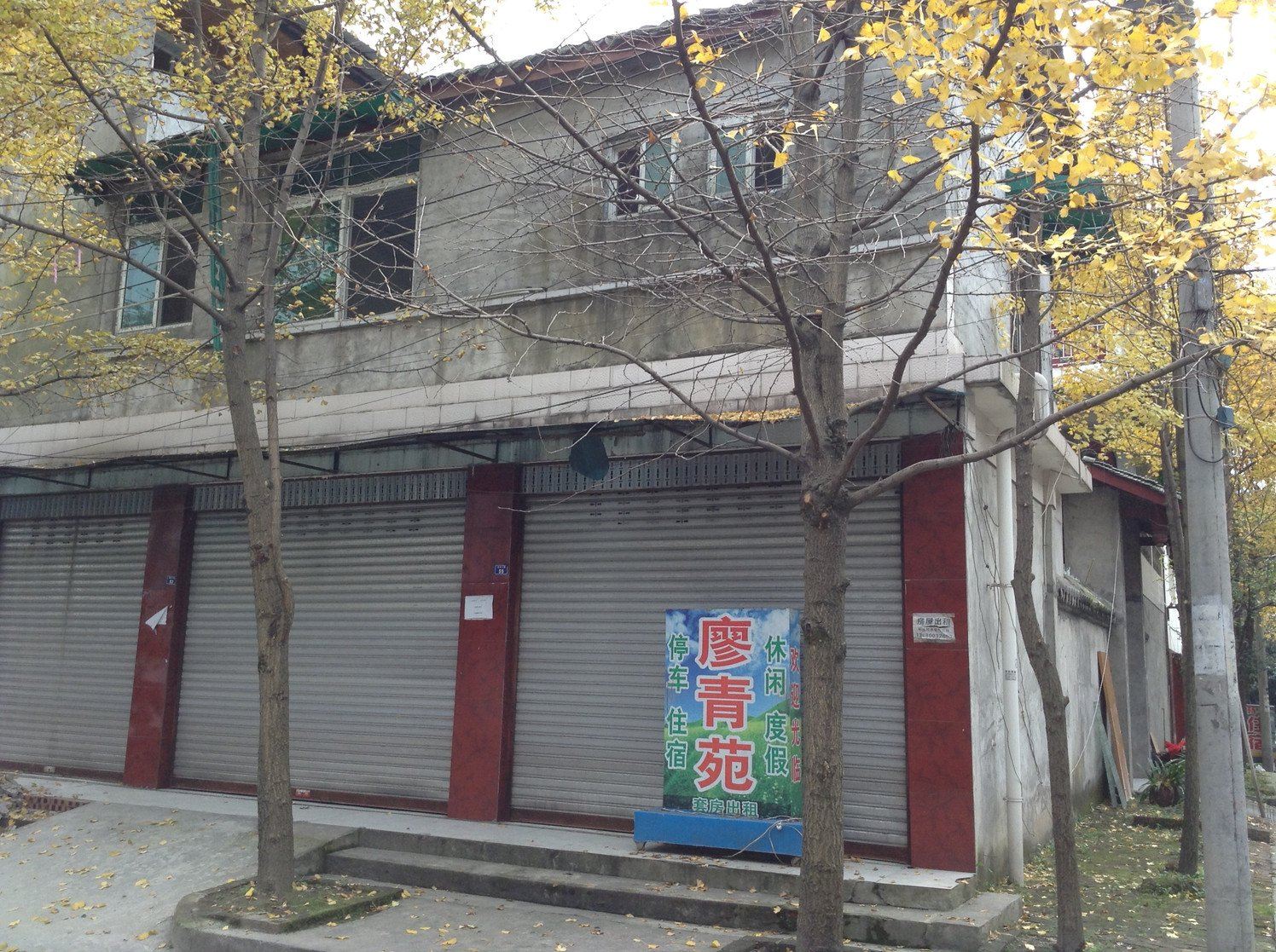 外观