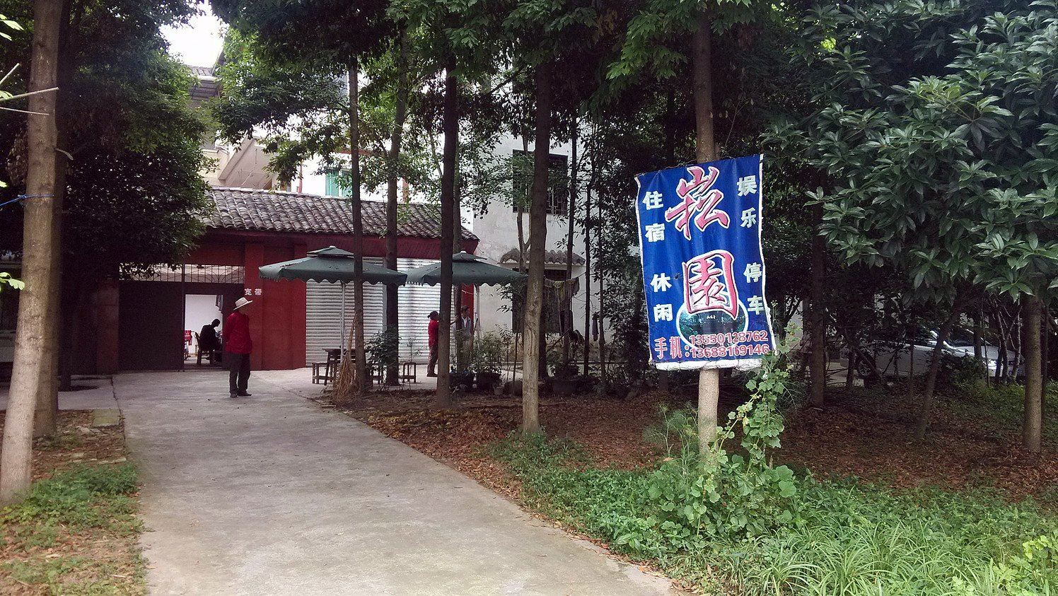 外观