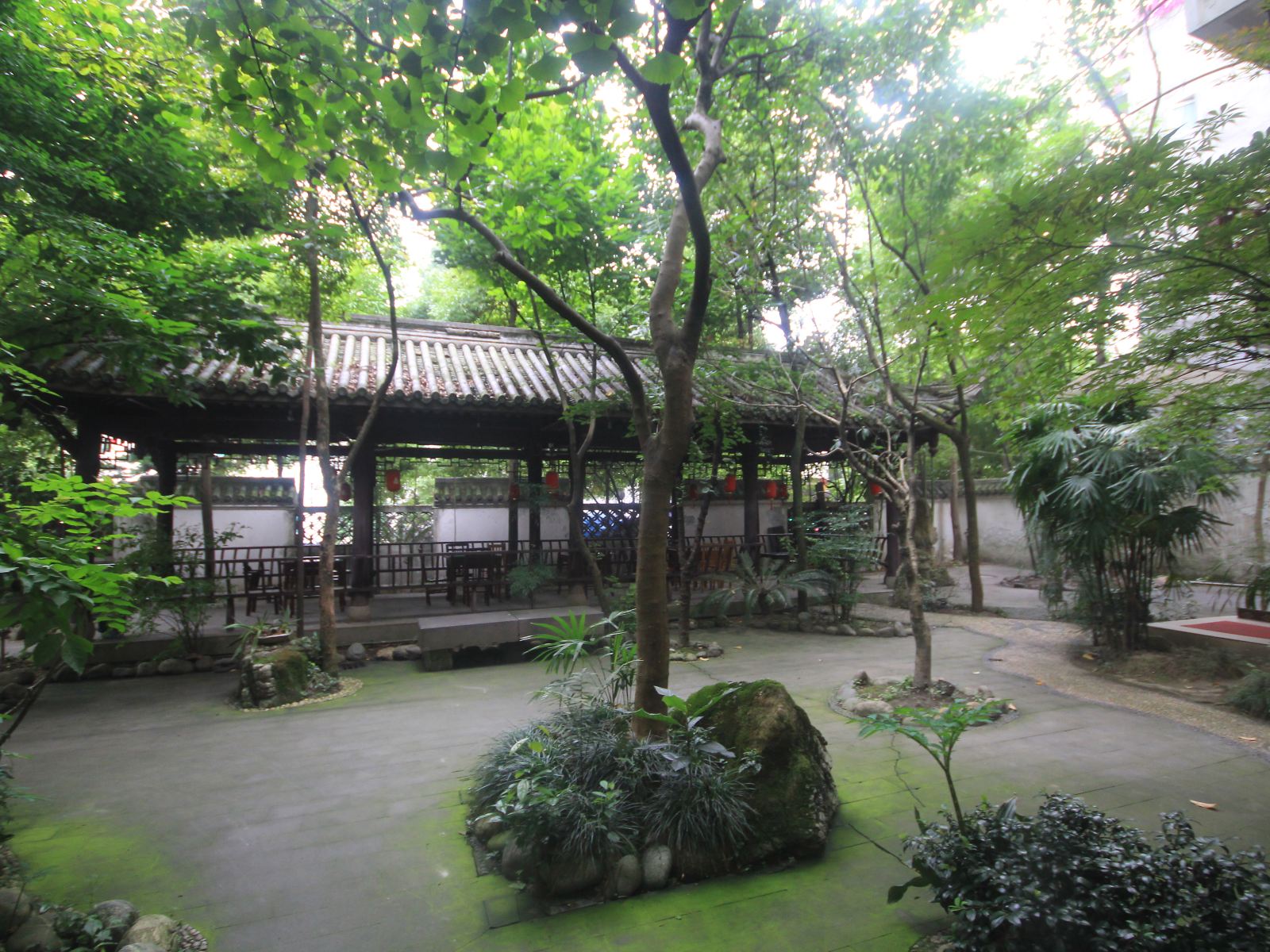 公共区域