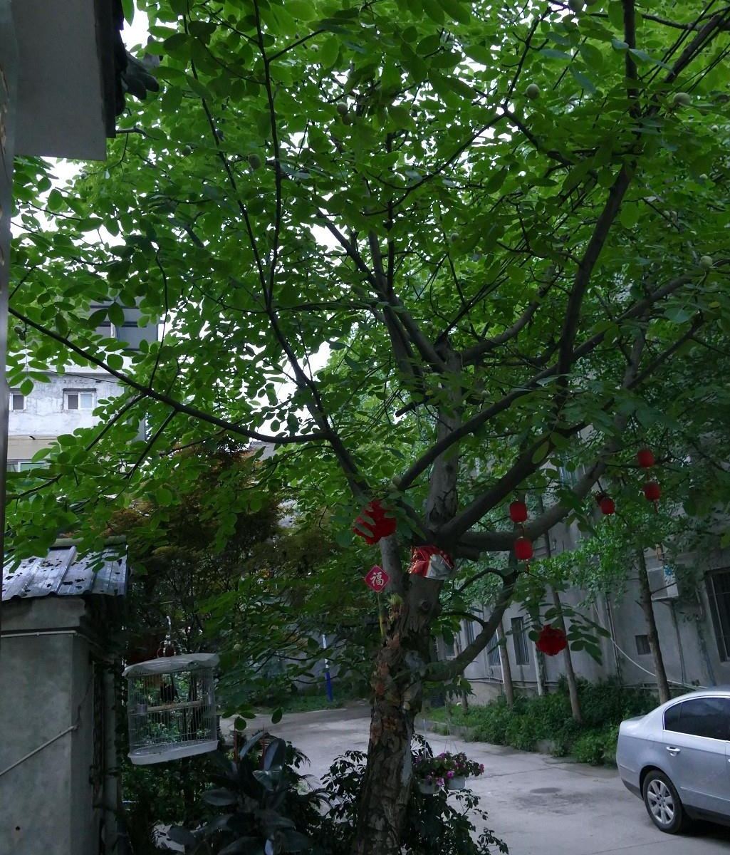 成都莹寓客栈