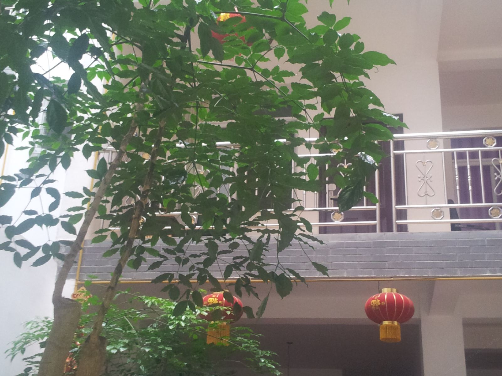 都江堰清平乐客栈