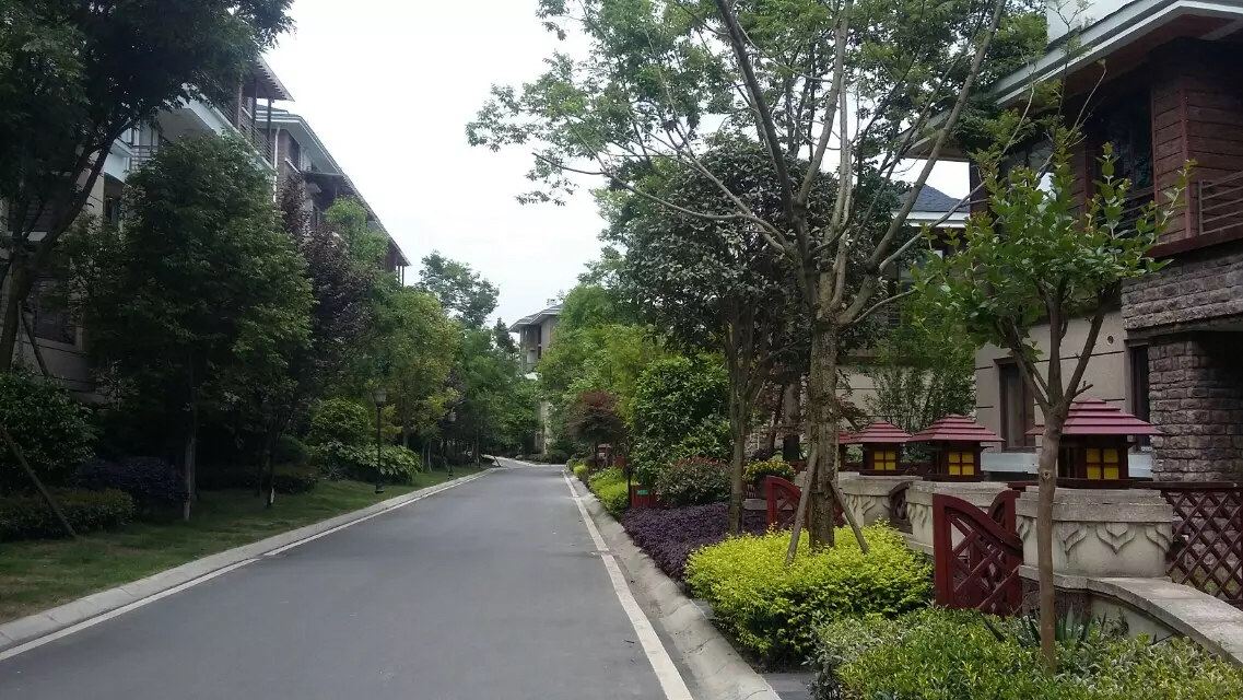 成都一路走来一路唱普通公寓