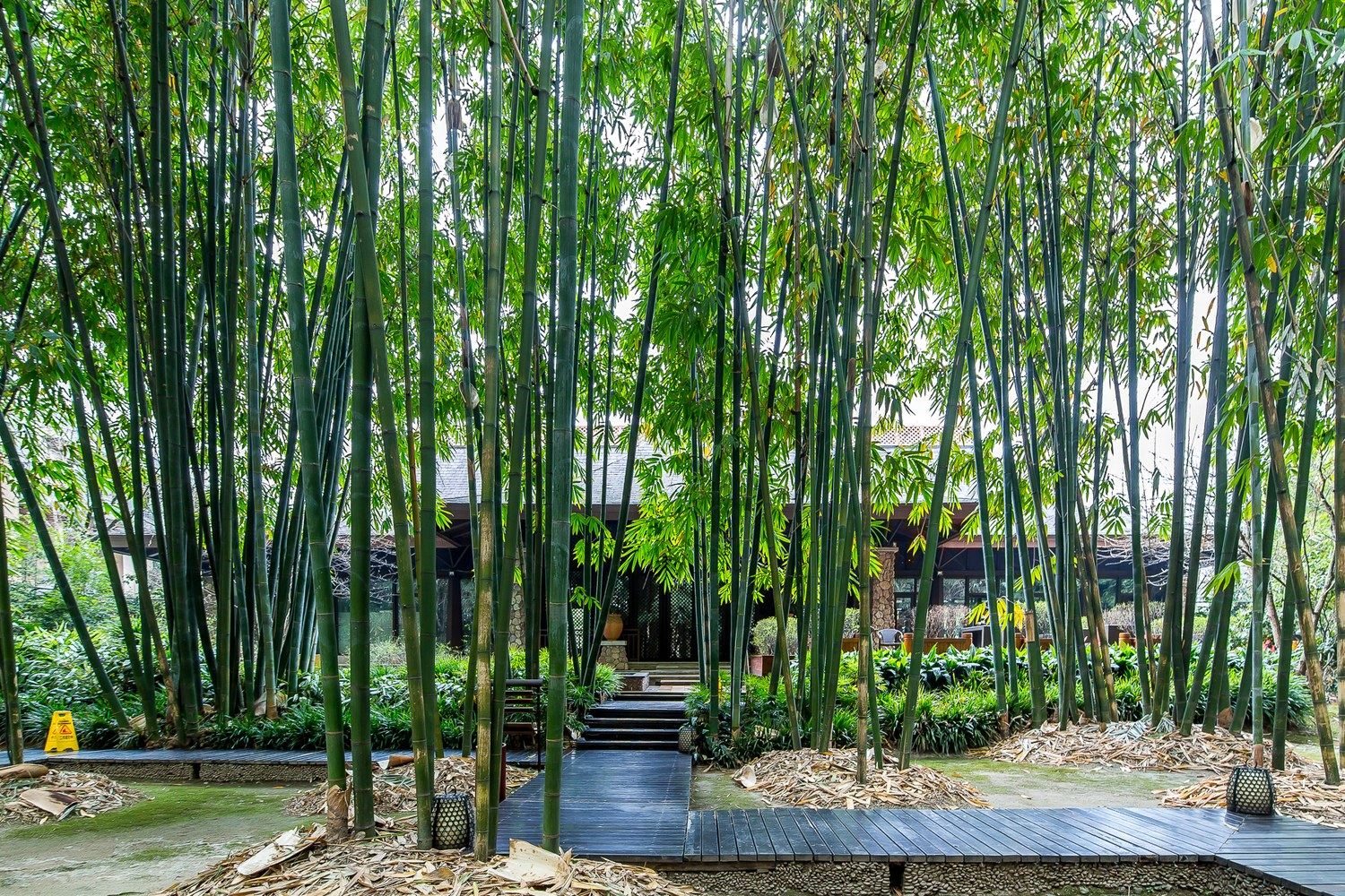 成都禾陶屋度假别墅NO.5