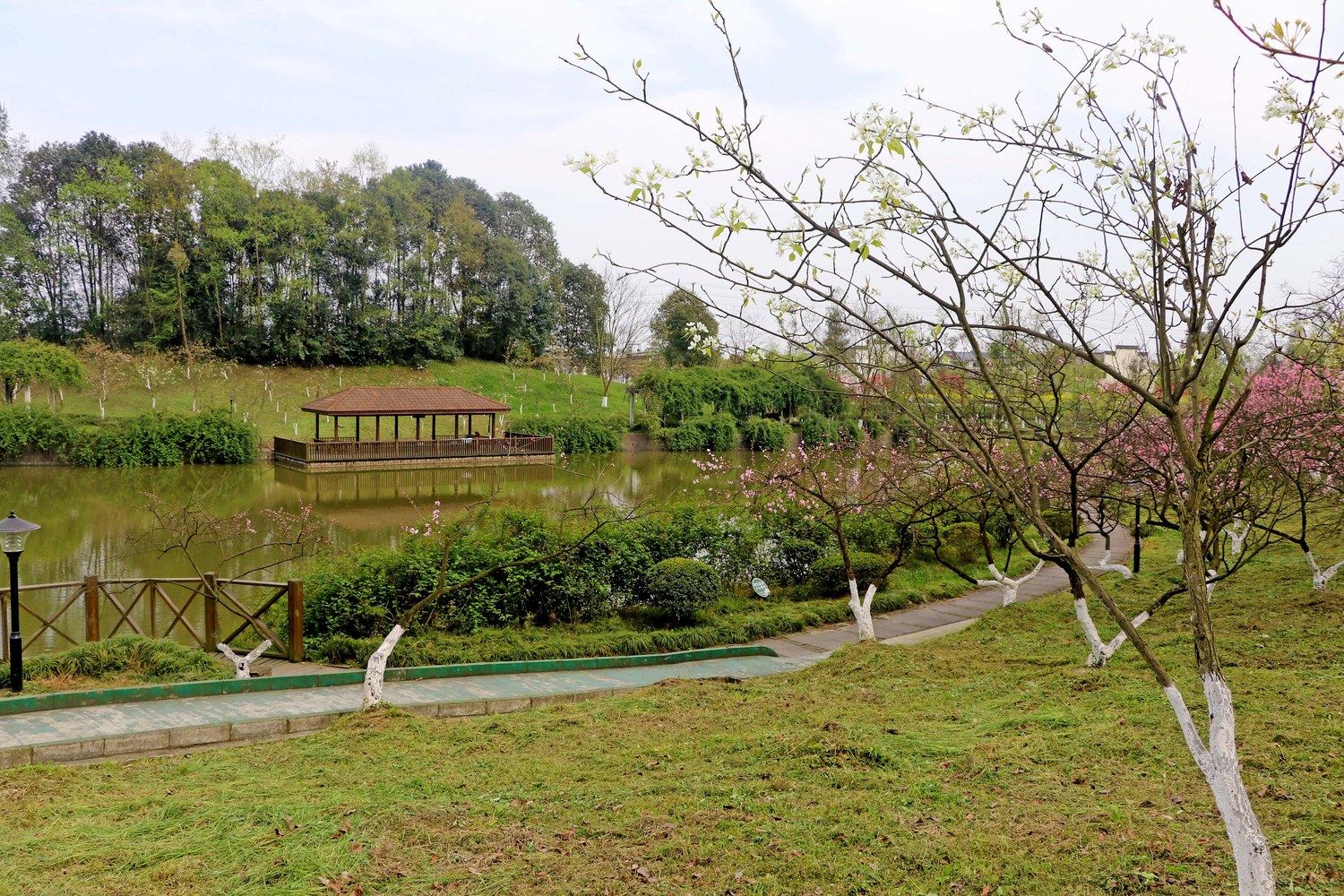 成都青城山湖畔小墅度假别墅(3号店)