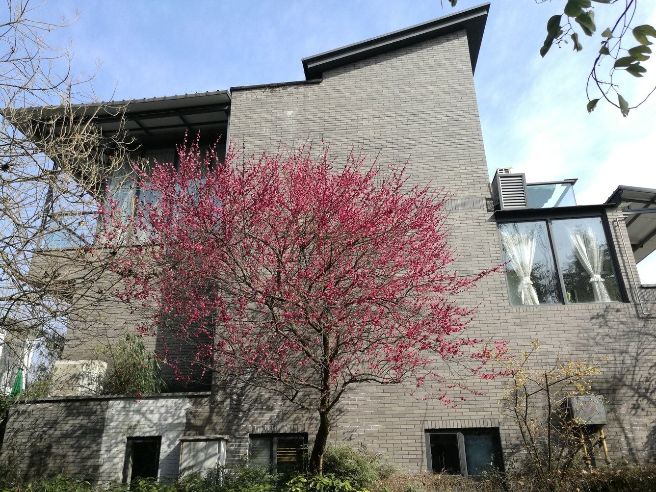 成都闲庐都江堰青城山度假公寓(2号店)