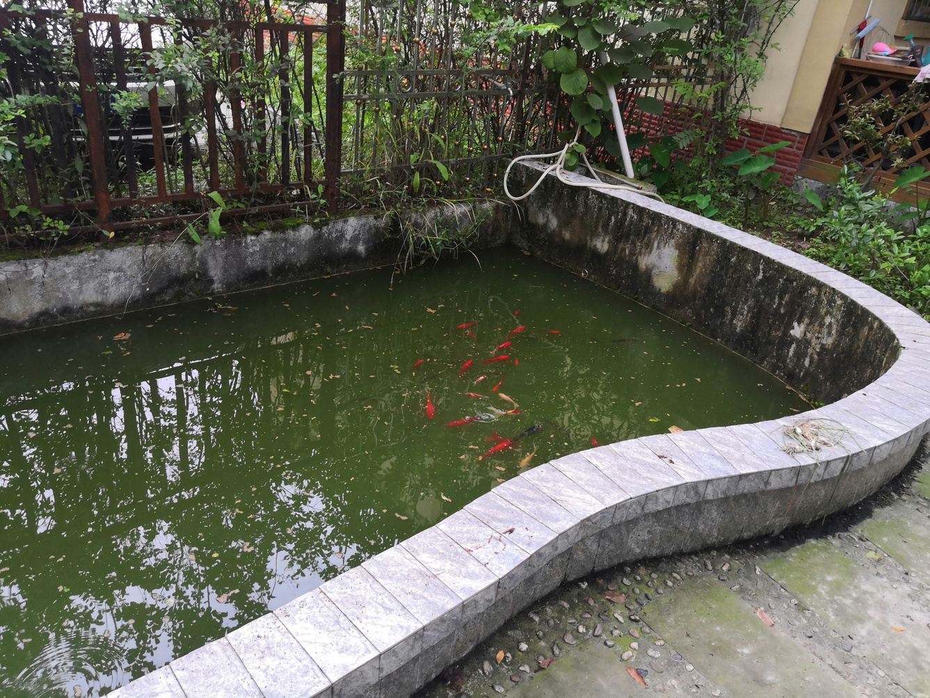 成都英子的小园公寓
