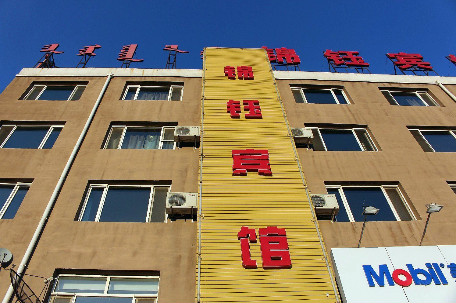 外观