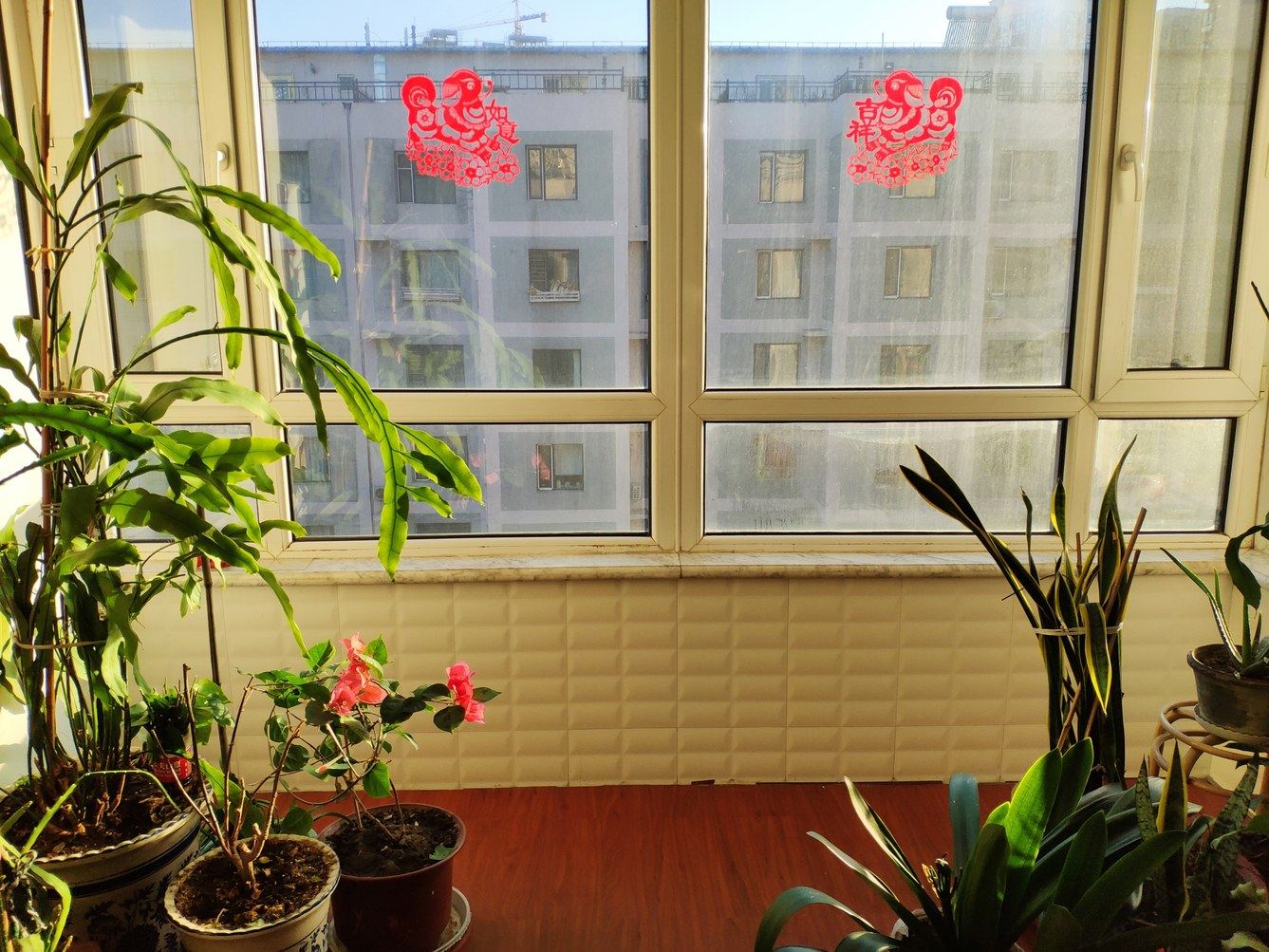 呼和浩特清新舒适小燕子大床房公寓
