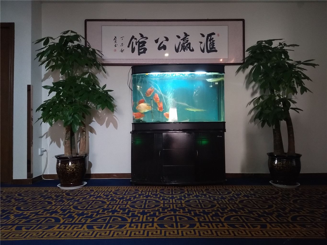公共区域