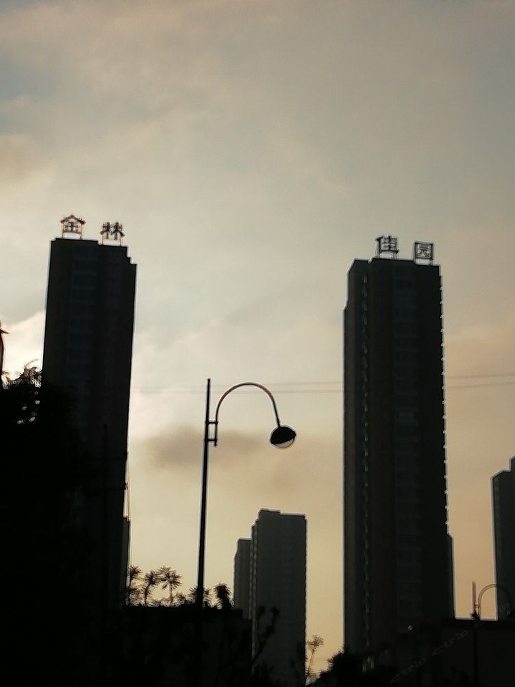 其他