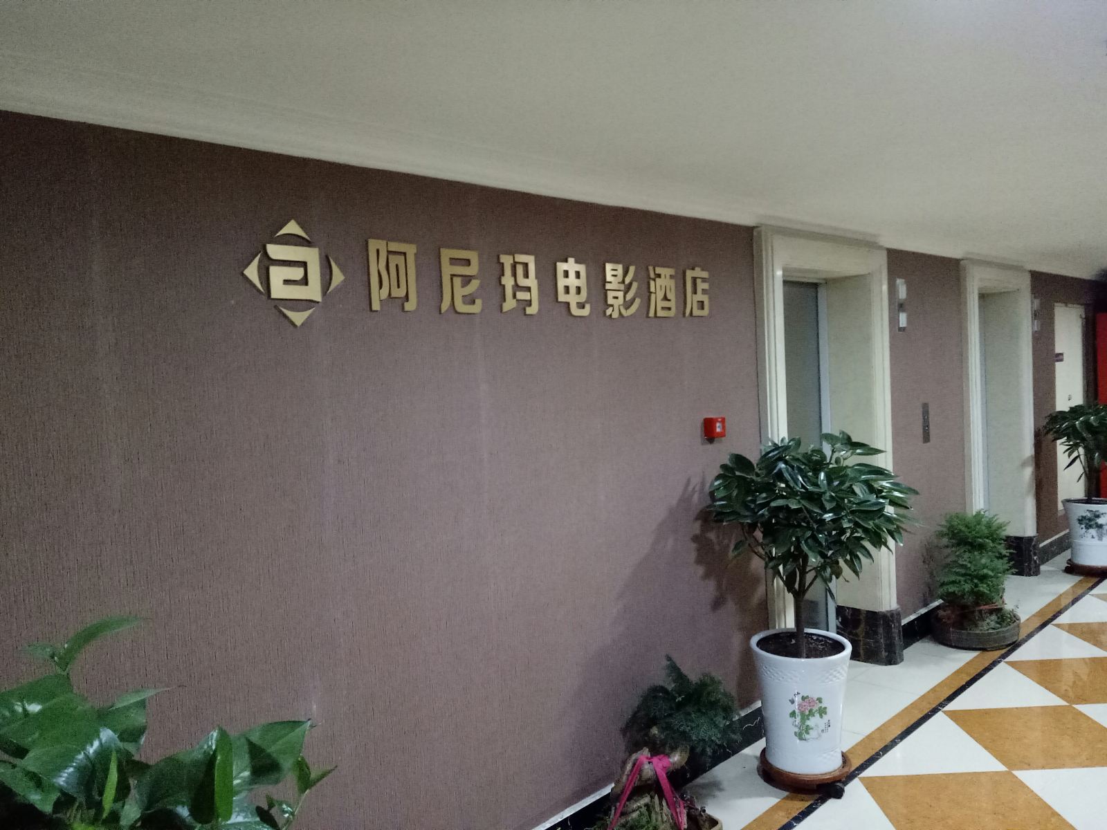 公共区域