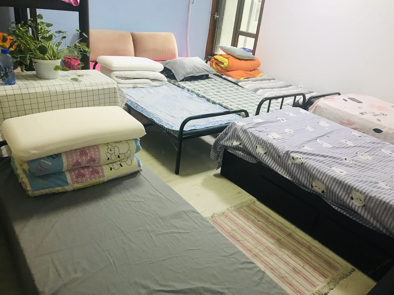 简约一室五床房