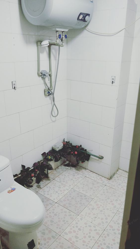 温馨一室一厅套房